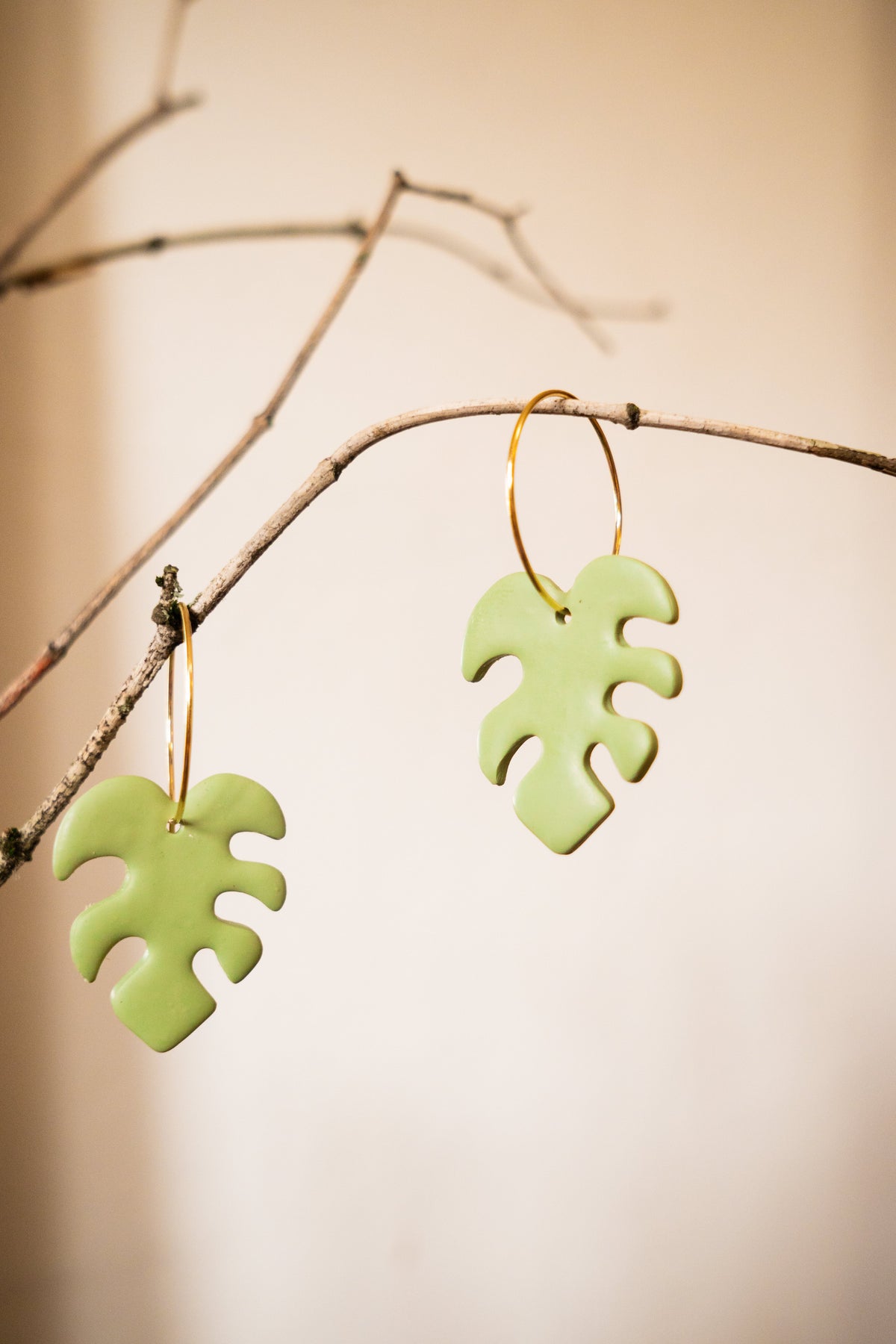 Earrings for Mangos