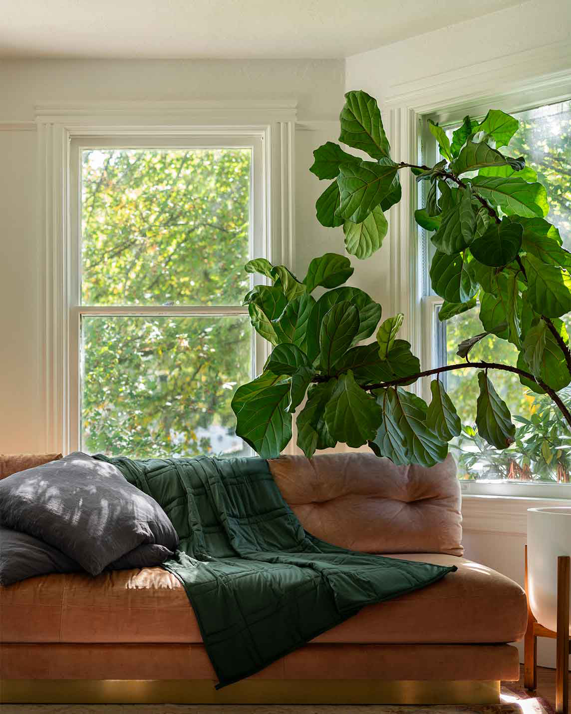 A spruce weighted blanket across a ping sofa with a green plant  [44422820561115, 45574418333915, 46684279668955, 47185820188891]