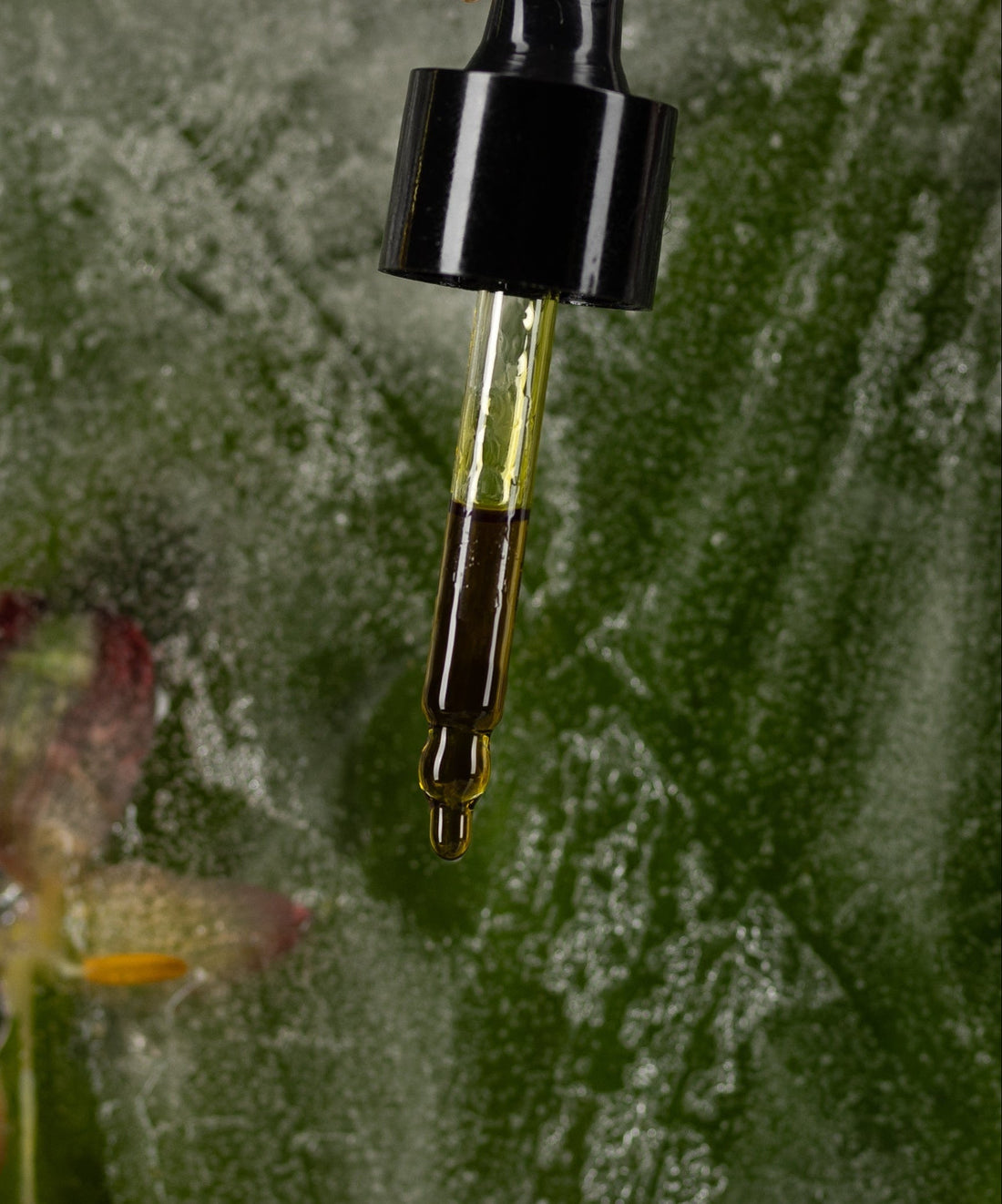 SELVA Restorative Face Oil with Açaí and Passionfruit [Unboxed]