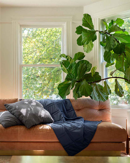 A luna blue weighted blanket 12lb on a pink sofa next to a gray pillow and large fig tree [43649942782171, 45574417875163, 47185819762907, 46301293543643, 46301293773019, 46301293805787, 46301293904091]